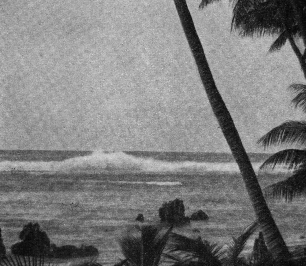 Waves breaking on the coral reef of Nauru behind palms, a photograph from 1913
